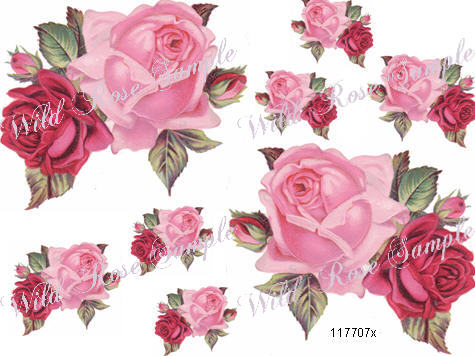 XL SHaDeS oF PiNk DouBLe RoSeS ShaBbY FuRNiTuRe DeCALs | Designs by Iris